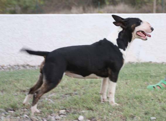 Hemeraude Dreams Of A Day